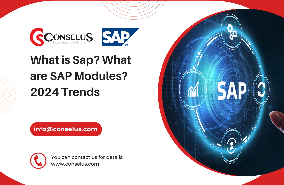 What is Sap? What are SAP Modules? 2024 Trends
